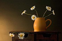 Fototapeta s kvetmi 4067 - samolepiaca na stenu